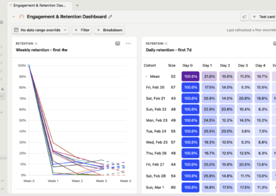 PostHog Dashboard Cohort